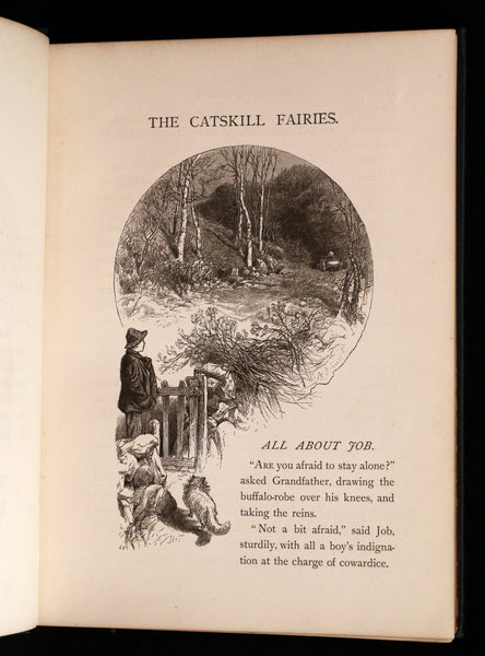 1876 Scarce First Edition - The Catskill Fairies by Virginia W. Johnson.