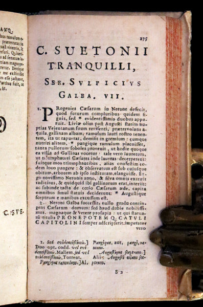 1631 Rare Latin Vellum Book - Lives of the Twelve Caesars & other notes by Suetonius - Cum Notationibus Diversorum.
