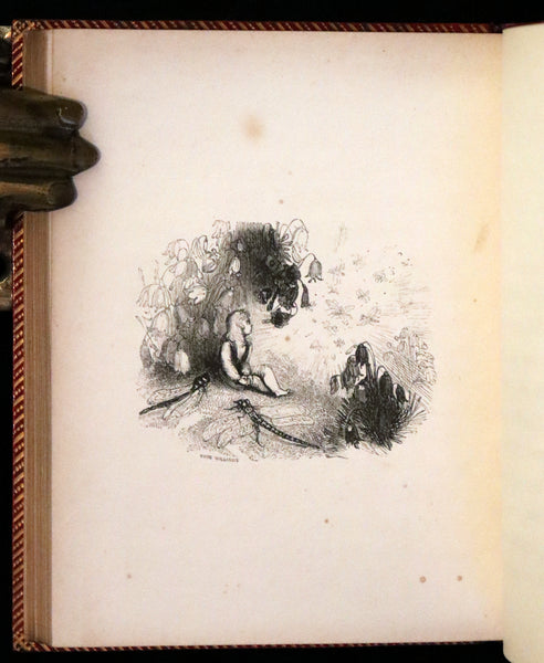 1834 Scarce First Edition - The Story Without An End by Sarah Austin illustrated by William Harvey.
