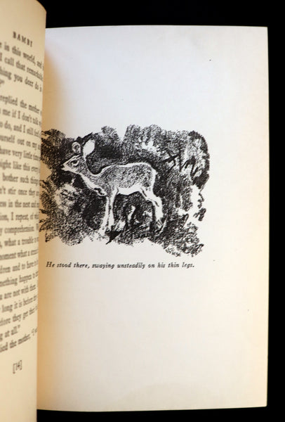 1928 Rare Book - BAMBI a Life in the Woods by Felix Salten. Nicely bound First Edition.