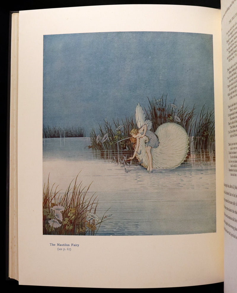 1931 First UK Edition in a beautiful binding ~ FAIRYLAND by Ida Rentoul Outhwaite color illustrated.