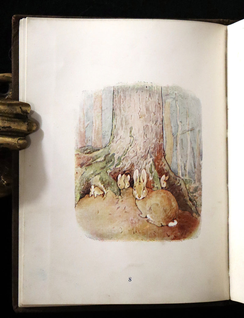 1904 Rare Early Printing - The Tale of Peter Rabbit illustrated by Beatrix Potter.