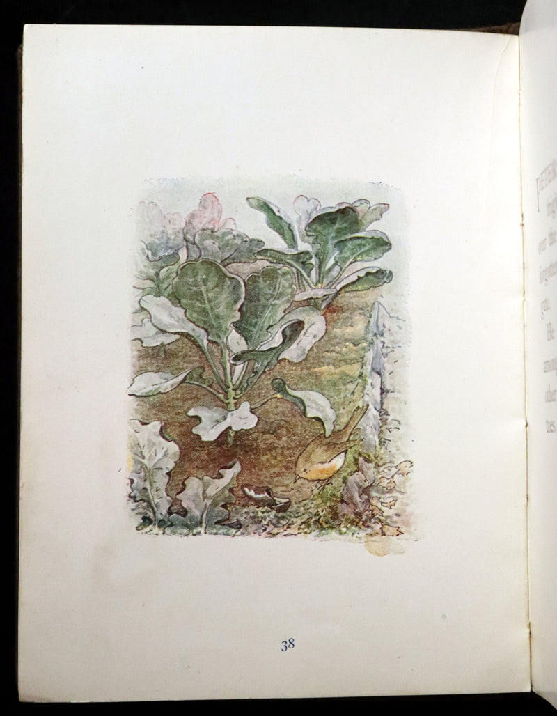 1904 Rare Early Printing - The Tale of Peter Rabbit illustrated by Beatrix Potter.