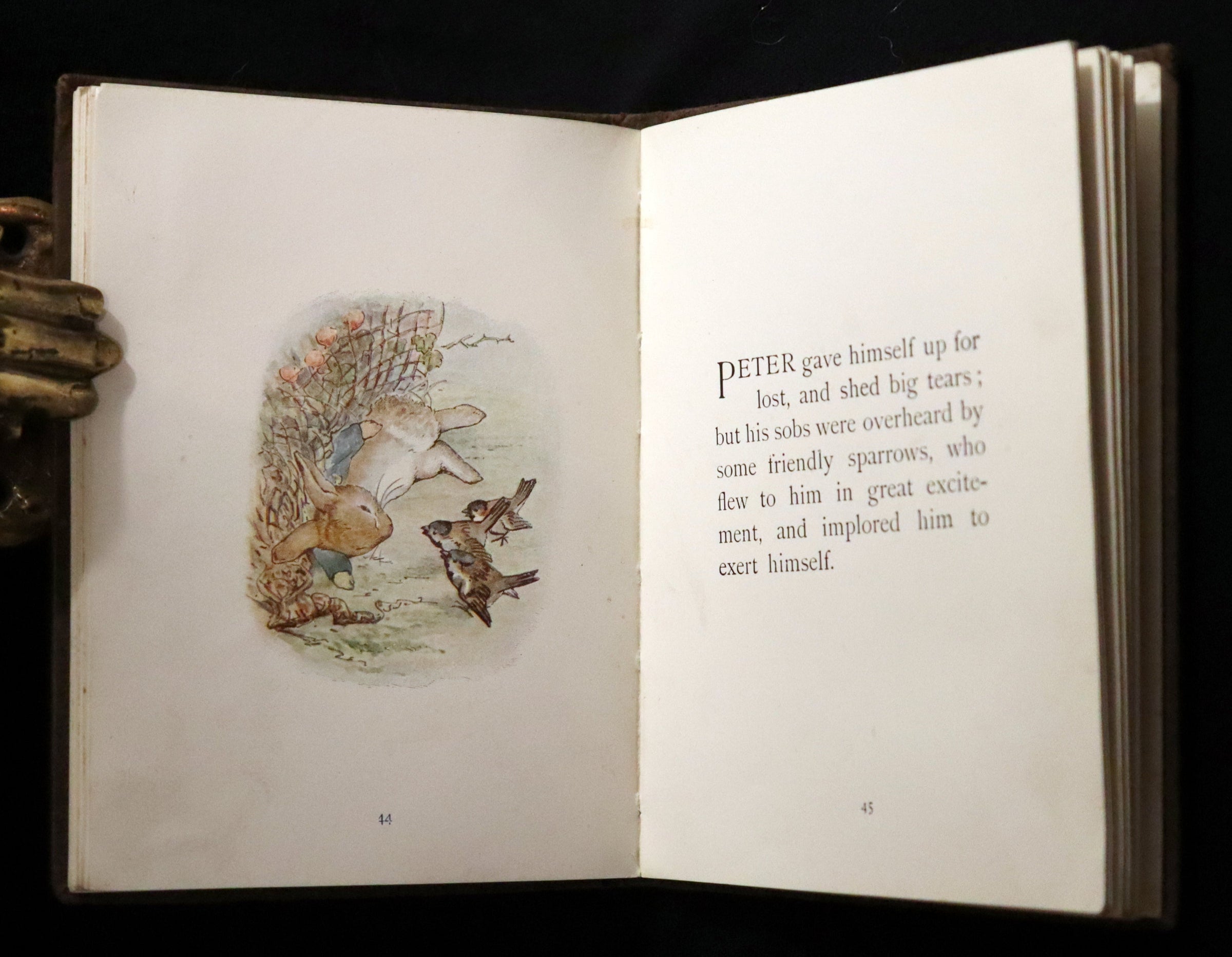 1904 Rare Early Printing - The Tale of Peter Rabbit illustrated by Bea ...