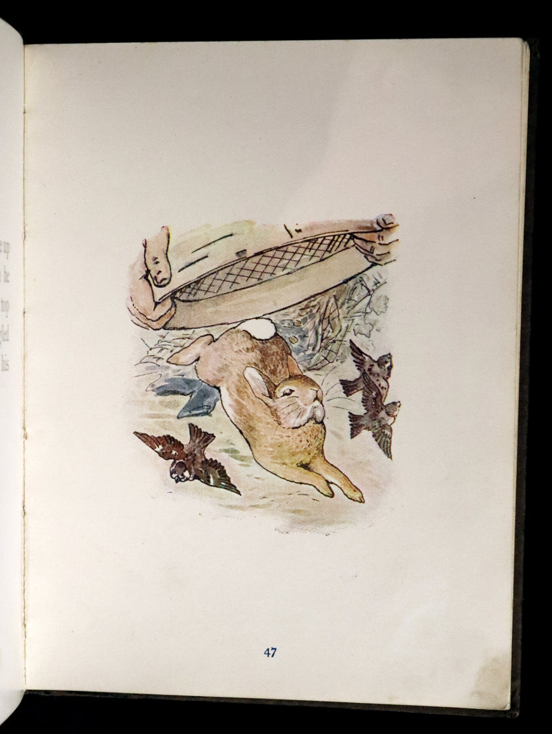 1904 Rare Early Printing - The Tale of Peter Rabbit illustrated by Beatrix Potter.