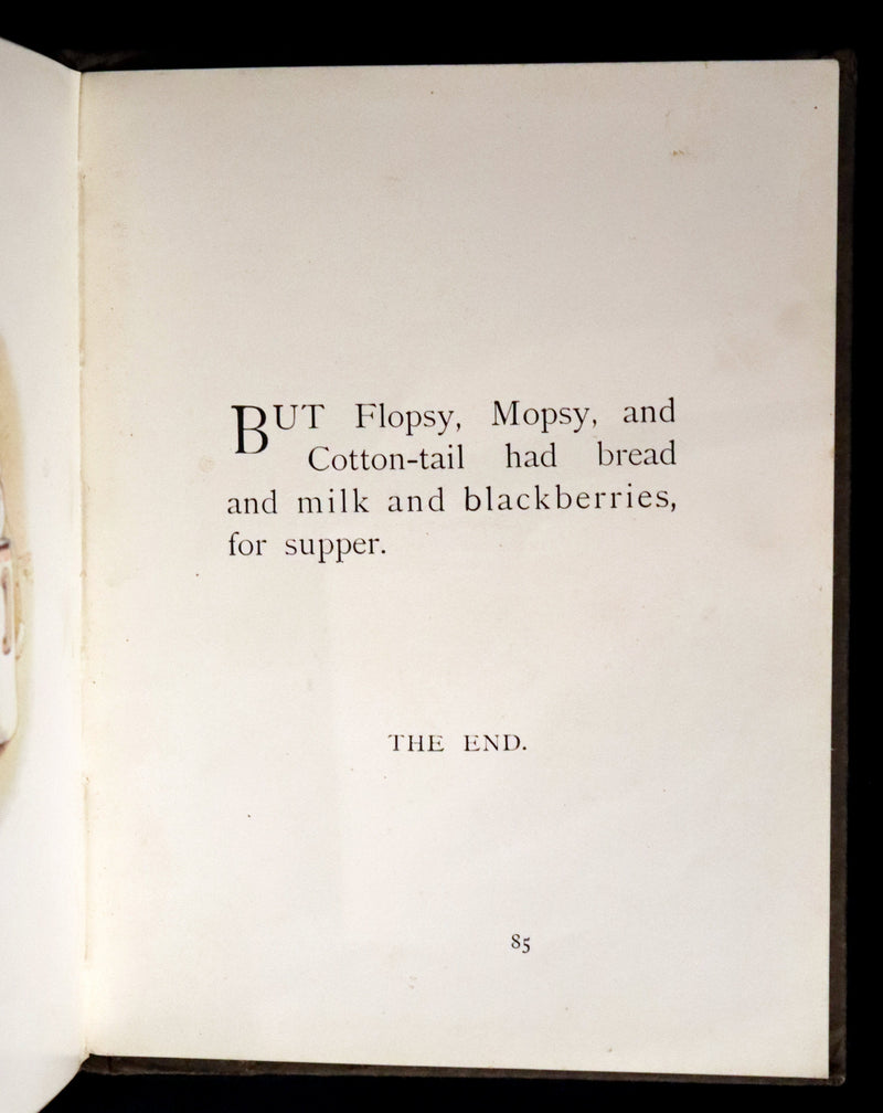 1904 Rare Early Printing - The Tale of Peter Rabbit illustrated by Beatrix Potter.