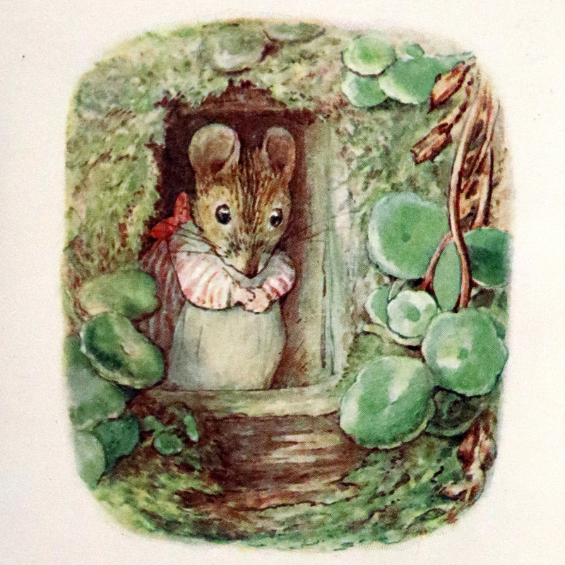 1910 Rare First Edition - The Tale of Mrs. Tittlemouse by Beatrix Potter.