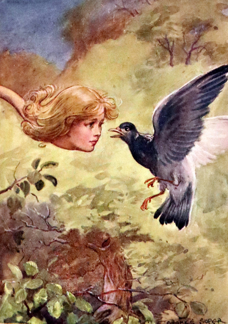 1920 Rare Edition - Alice's Adventures in Wonderland illustrated by George Soper.