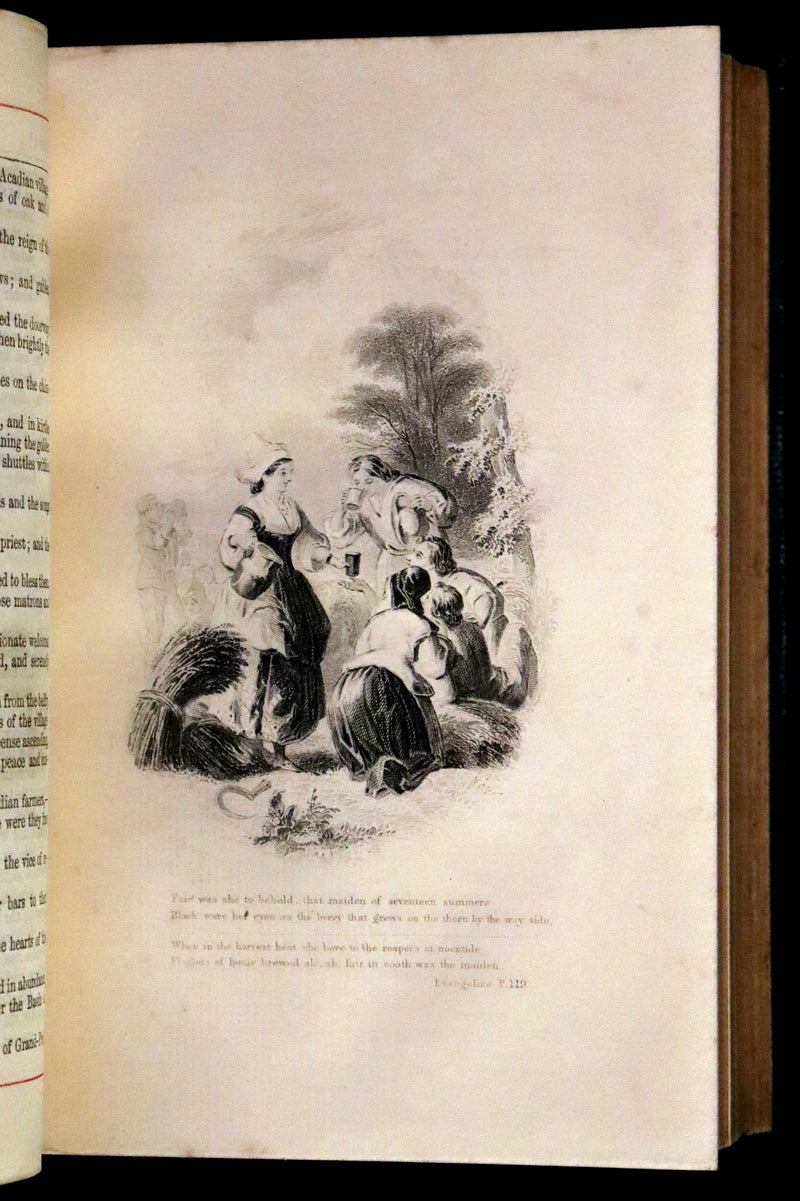 1875 Nice Victorian Binding - The Poetical Works of Henry Wadsworth Longfellow. Illustrated.