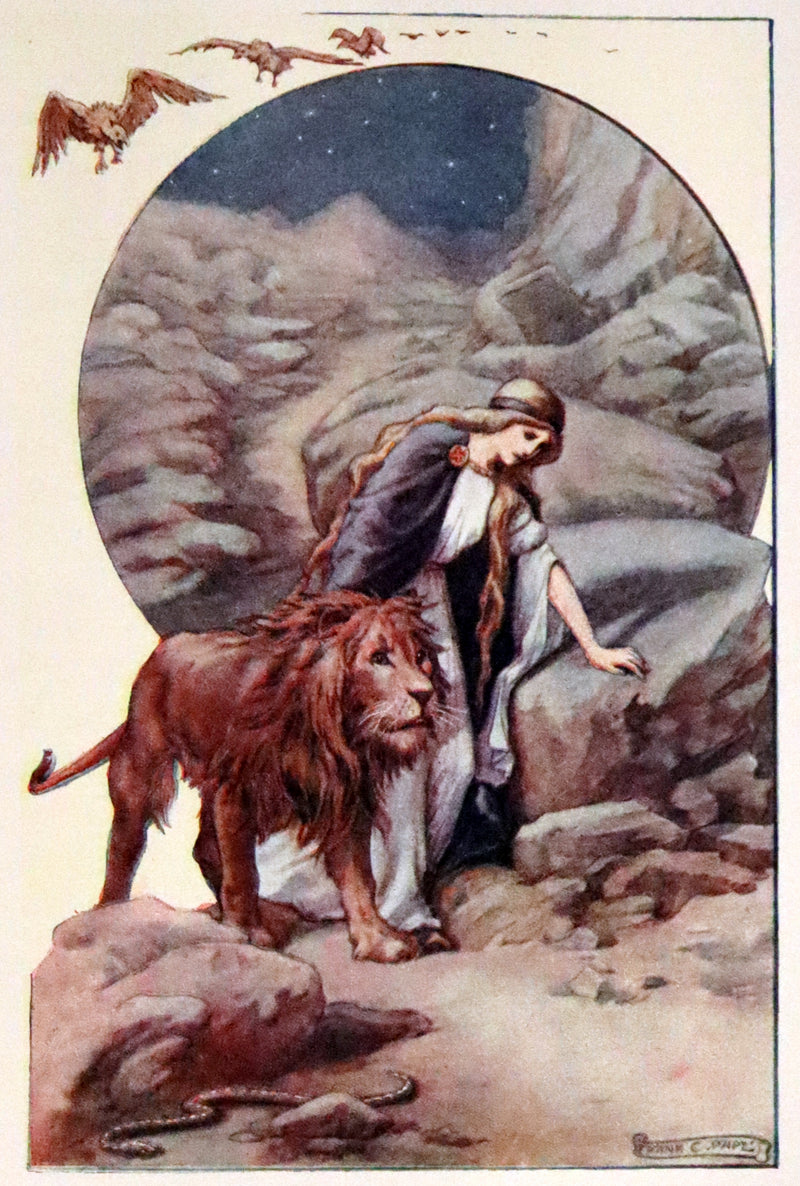 1910 First Edition illustrated by Frank C. Papé ~ The Gateway to Spenser, Stories from The Faërie Queen.