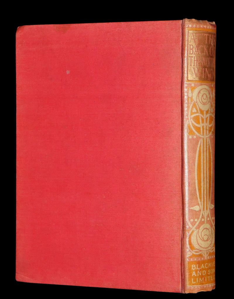 1911 Rare Edition in a scarce binding - AT THE BACK OF THE NORTH WIND by George MacDonald.