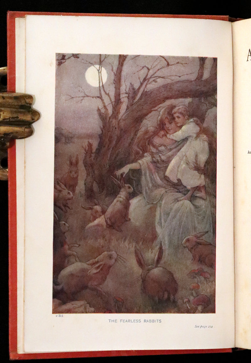 1911 Rare Edition in a scarce binding - AT THE BACK OF THE NORTH WIND by George MacDonald.