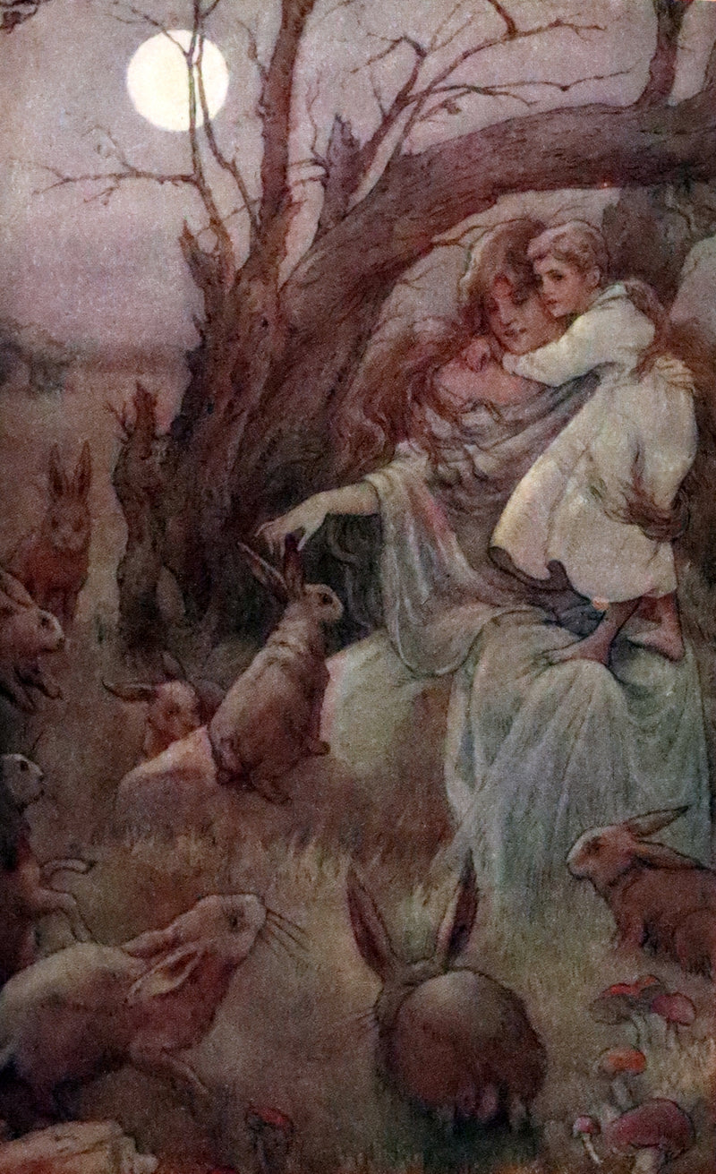 1911 Rare Edition in a scarce binding - AT THE BACK OF THE NORTH WIND by George MacDonald.