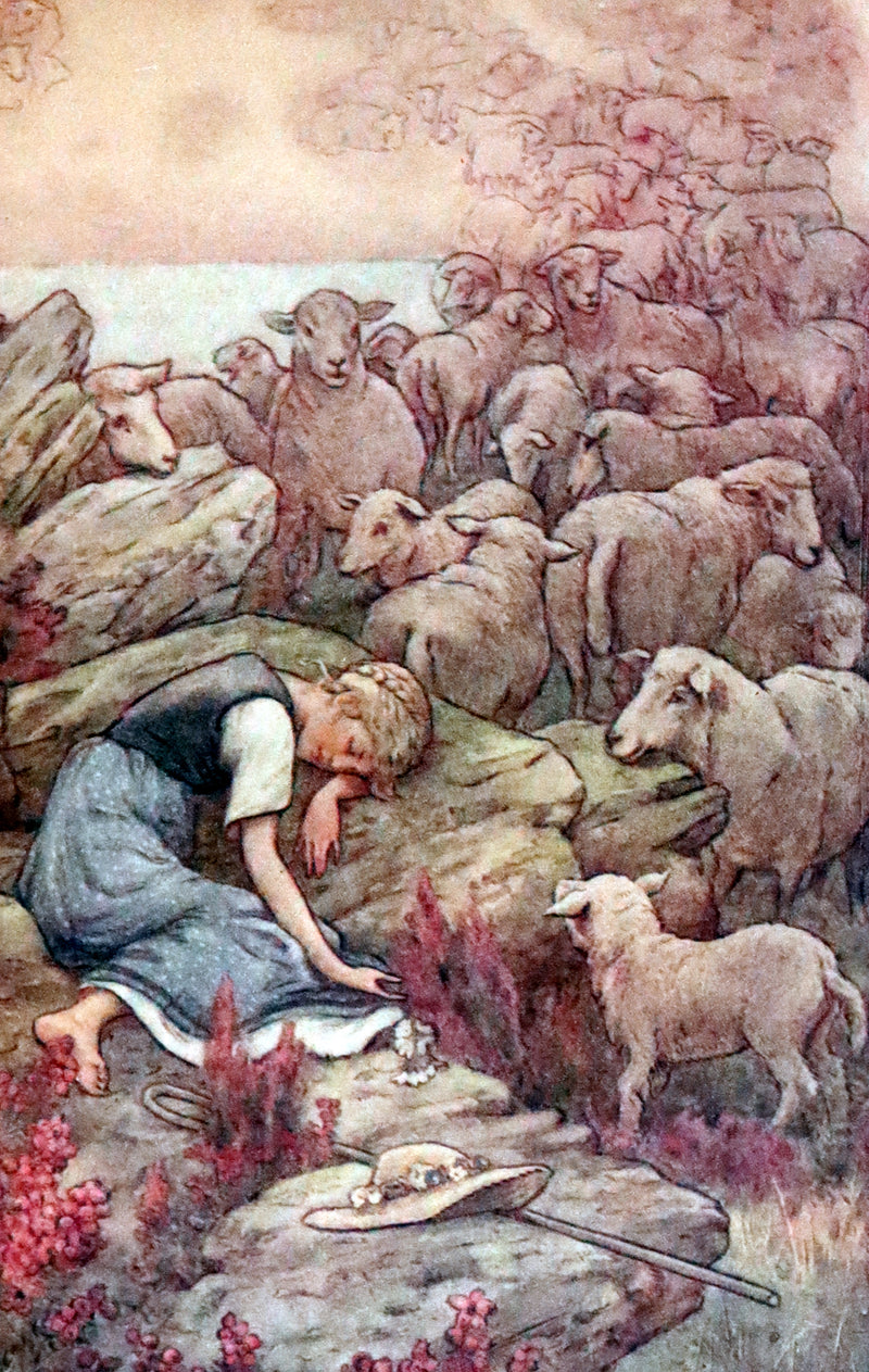 1911 Rare Edition in a scarce binding - AT THE BACK OF THE NORTH WIND by George MacDonald.