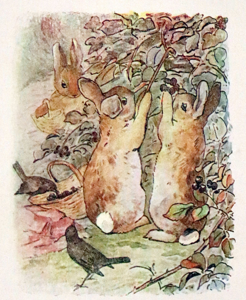 1910 Rare Edition - THE TALE OF PETER RABBIT illustrated by Beatrix Potter.