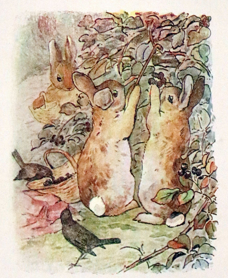 1910 Rare Edition - THE TALE OF PETER RABBIT illustrated by Beatrix Potter.