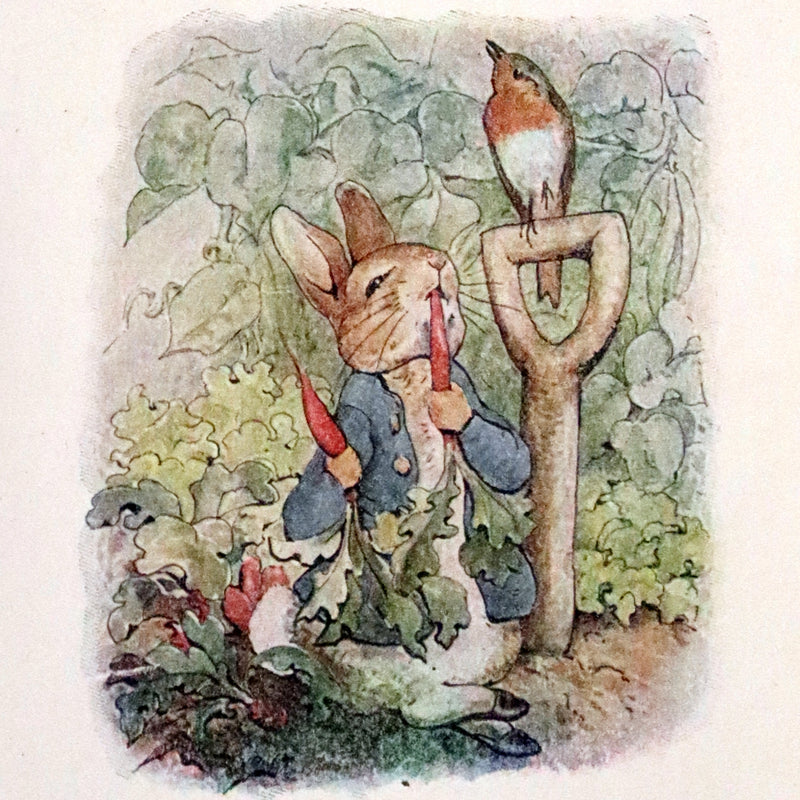 1910 Rare Edition - THE TALE OF PETER RABBIT illustrated by Beatrix Potter.
