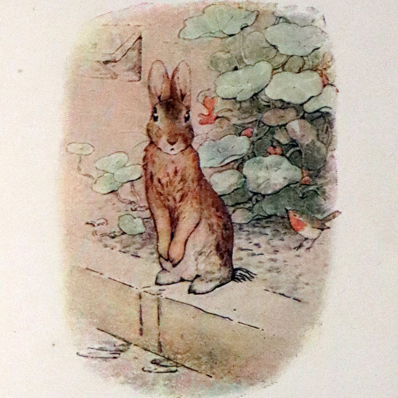 1910 Rare Edition - THE TALE OF PETER RABBIT illustrated by Beatrix Potter.