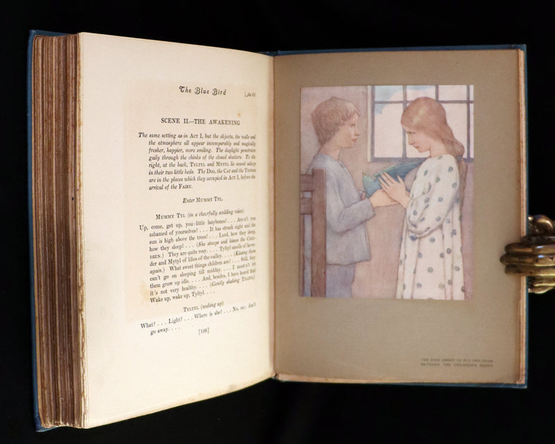 1911 First US Edition - The Blue Bird, A FAIRY Play illustrated by Frederick Cayley Robinson.