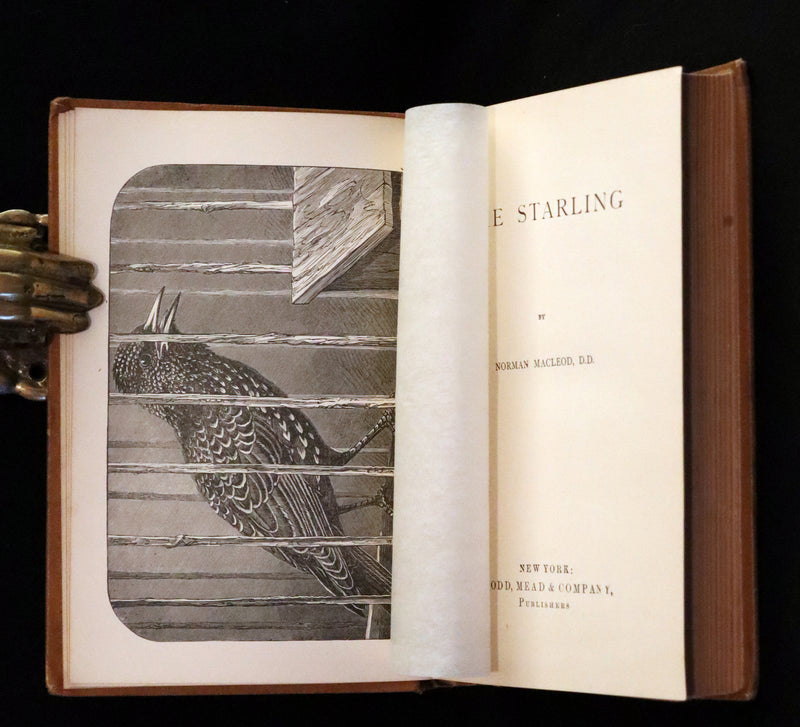 1870 Rare Book - The STARLING - A Scotch Story by Norman MacLeod.