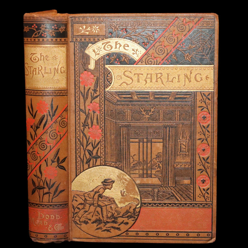 1870 Rare Book - The STARLING - A Scotch Story by Norman MacLeod.