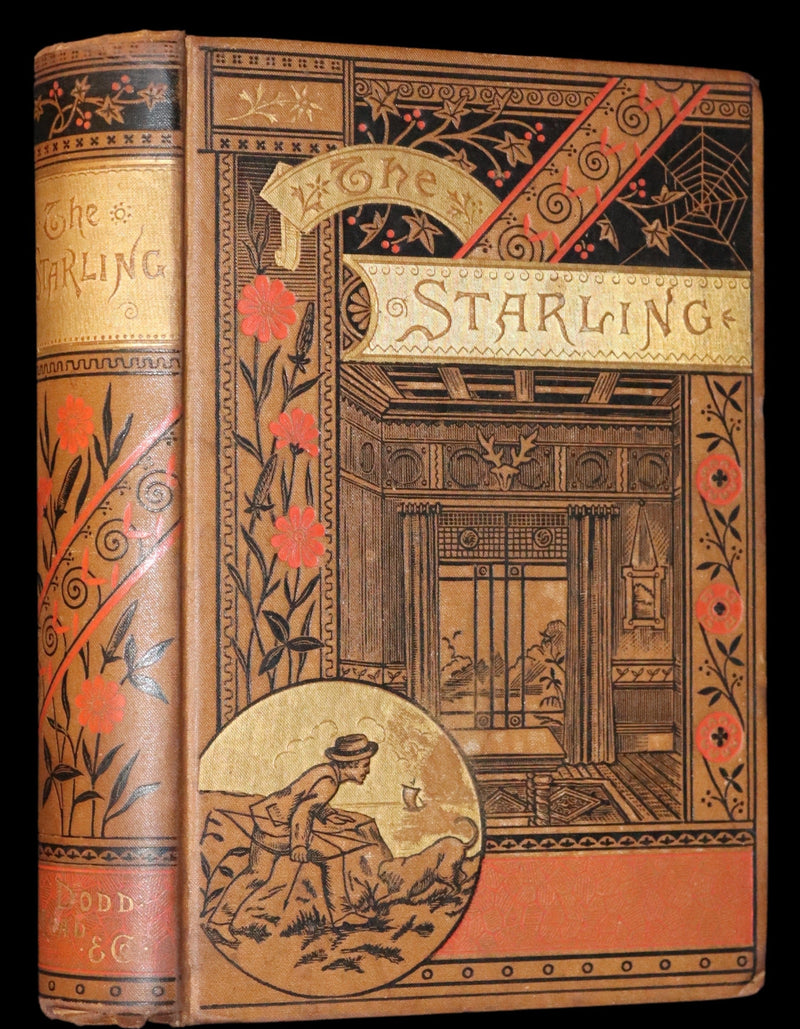 1870 Rare Book - The STARLING - A Scotch Story by Norman MacLeod.