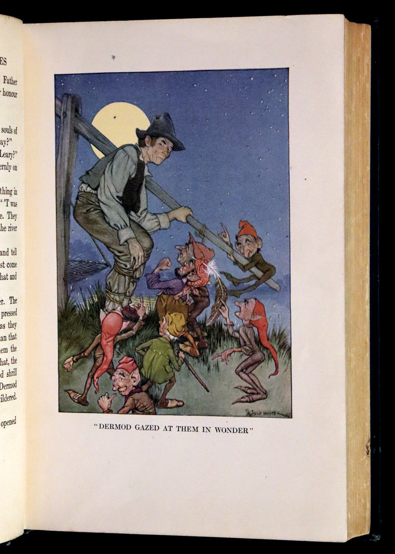 1918 Scarce First Edition - The Book of Elves and Fairies by Frances Jenkins Olcott illustrated by Milo Winter.