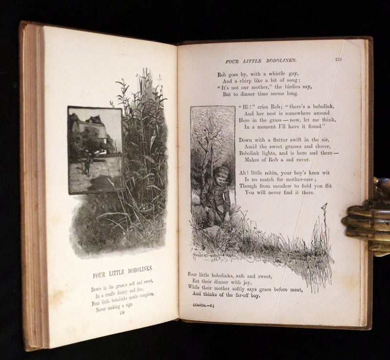 1899 Rare Book - ALADDIN and the Wonderful Lamp & Other Stories.