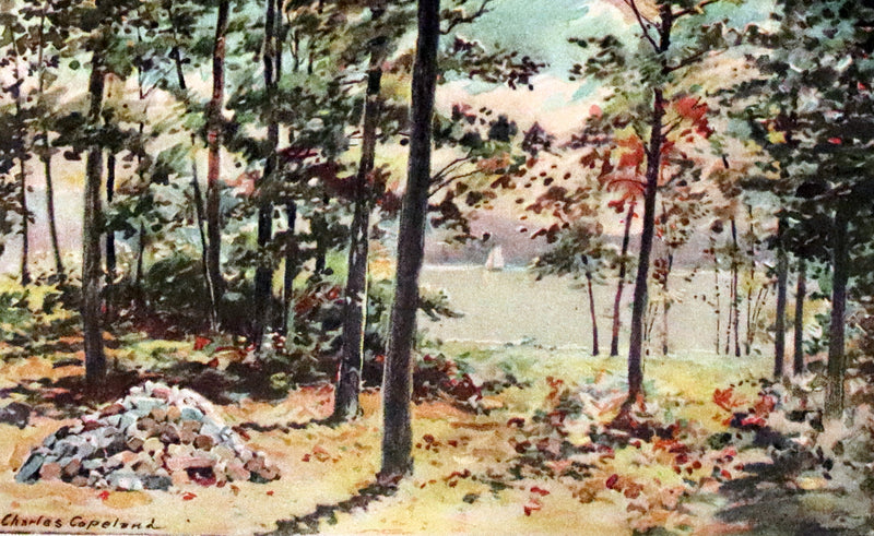 1899 First Copeland Illustrated Edition - WALDEN or Life in the Woods by Henry David Thoreau.