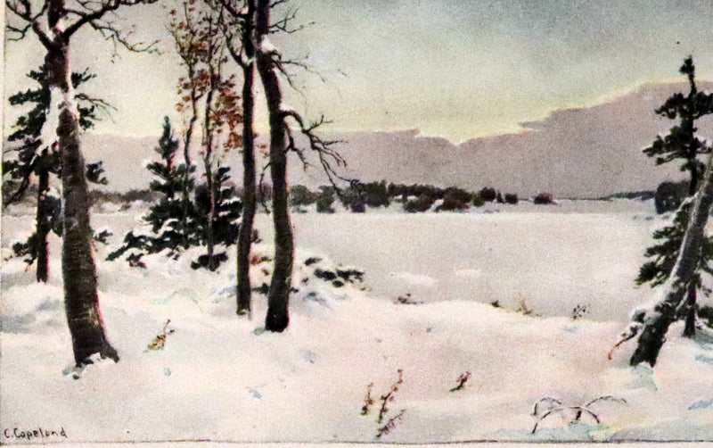 1899 First Copeland Illustrated Edition - WALDEN or Life in the Woods by Henry David Thoreau.