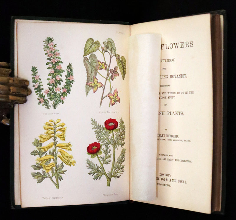 1876 Rare Victorian Book - FIELD FLOWERS, A handy-book for the rambling by the famous botanist James Shirley Hibberd.