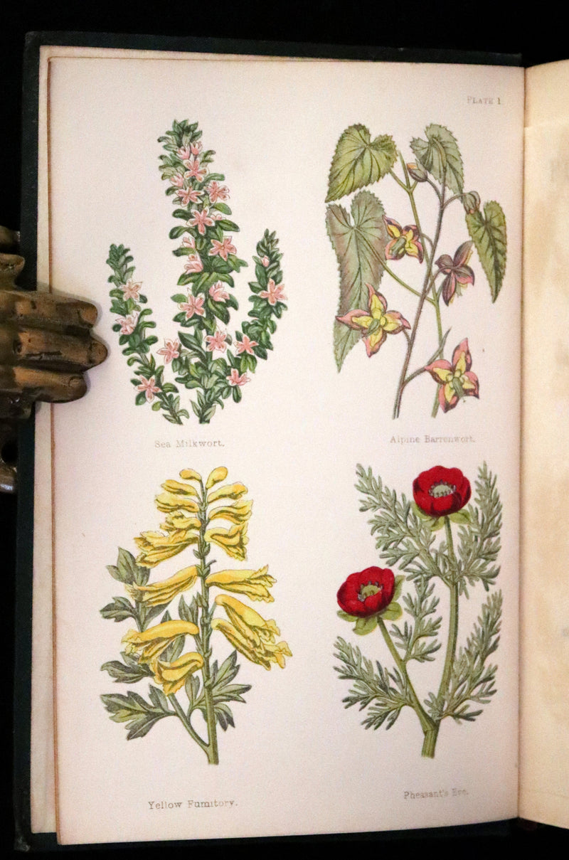 1876 Rare Victorian Book - FIELD FLOWERS, A handy-book for the rambling by the famous botanist James Shirley Hibberd.