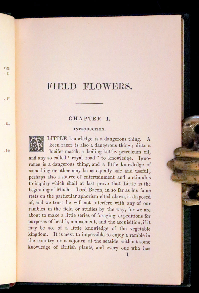 1876 Rare Victorian Book - FIELD FLOWERS, A handy-book for the rambling by the famous botanist James Shirley Hibberd.
