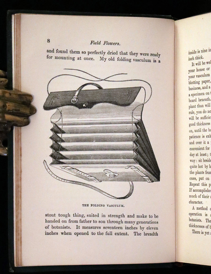 1876 Rare Victorian Book - FIELD FLOWERS, A handy-book for the rambling by the famous botanist James Shirley Hibberd.