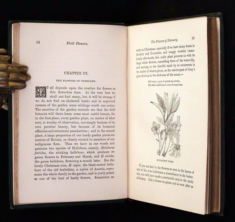 1876 Rare Victorian Book - FIELD FLOWERS, A handy-book for the rambling by the famous botanist James Shirley Hibberd.