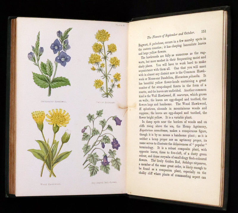 1876 Rare Victorian Book - FIELD FLOWERS, A handy-book for the rambling by the famous botanist James Shirley Hibberd.