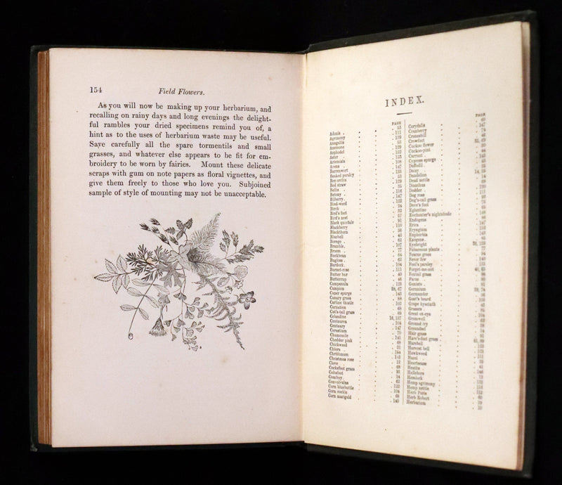 1876 Rare Victorian Book - FIELD FLOWERS, A handy-book for the rambling by the famous botanist James Shirley Hibberd.