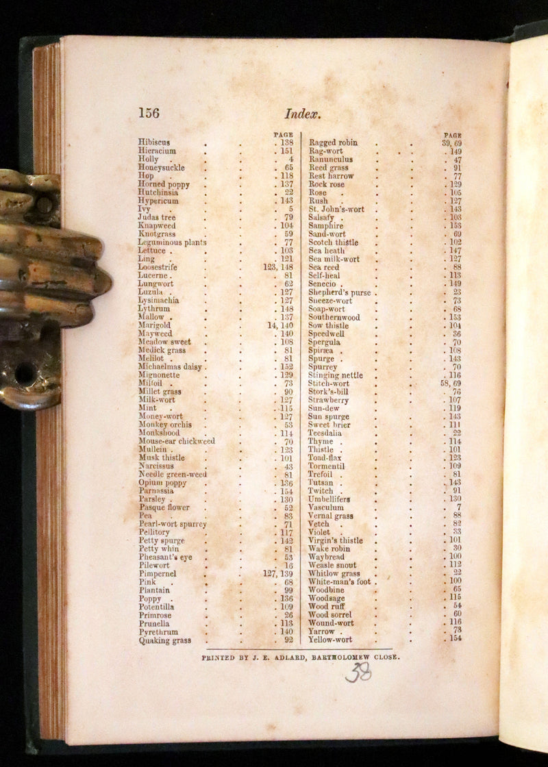 1876 Rare Victorian Book - FIELD FLOWERS, A handy-book for the rambling by the famous botanist James Shirley Hibberd.