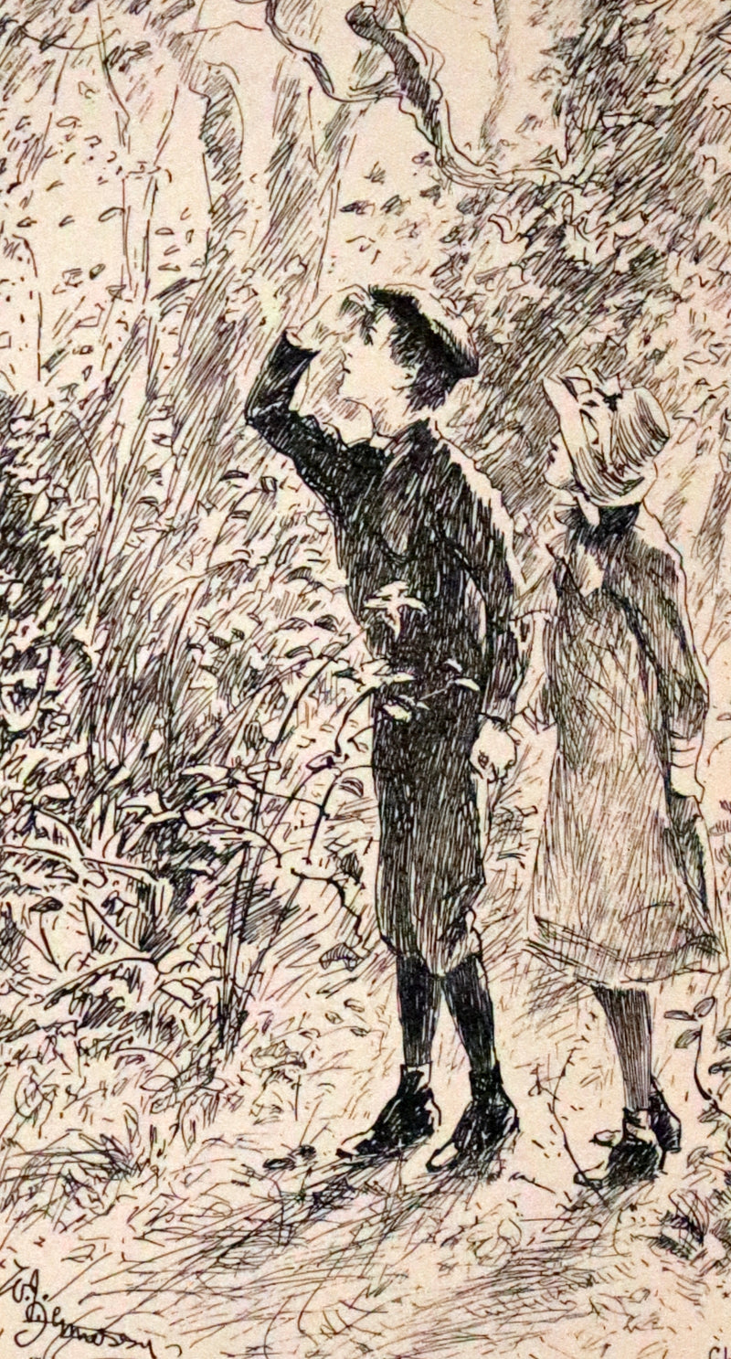 1892 Scarce First Edition - AN ENCHANTED GARDEN, Fairy Stories by Mary Louisa Molesworth illustrated by William John Hennessy.