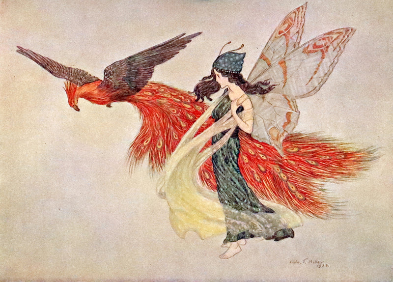 1923 Rare First Edition - The Rose Fyleman Fairy Book Illustrated by Hilda T. Miller.