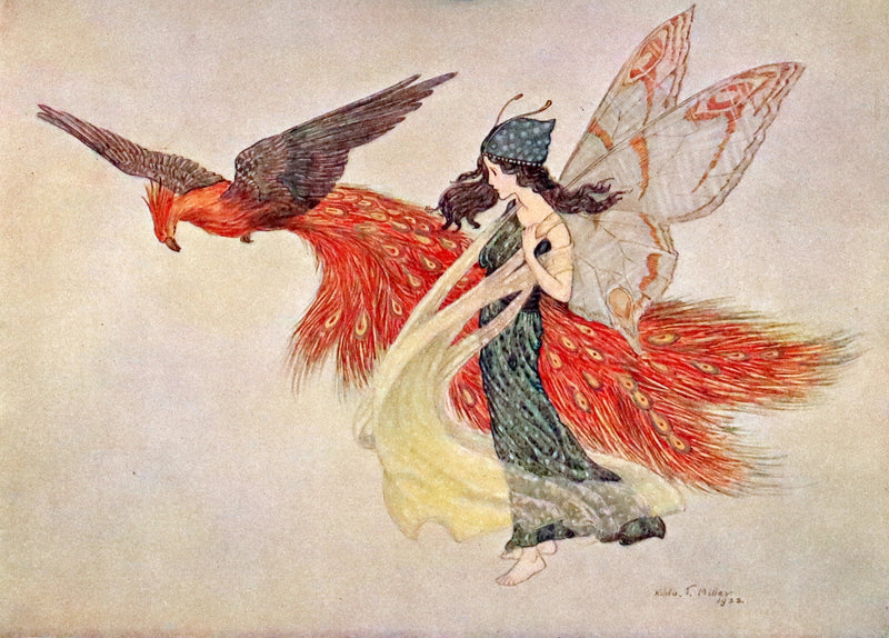 1923 Rare First Edition - The Rose Fyleman Fairy Book Illustrated by Hilda T. Miller.