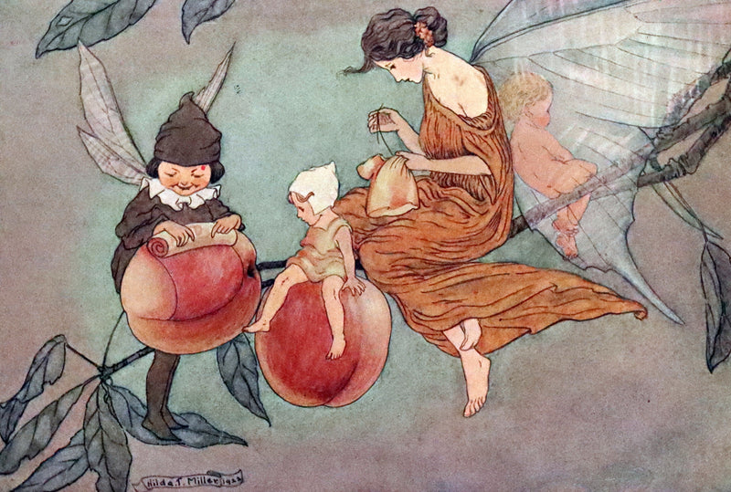 1923 Rare First Edition - The Rose Fyleman Fairy Book Illustrated by Hilda T. Miller.