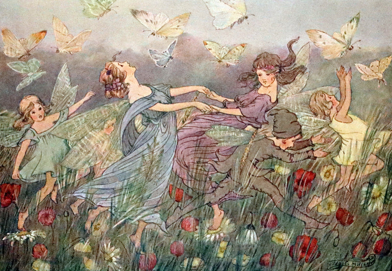 1923 Rare First Edition - The Rose Fyleman Fairy Book Illustrated by Hilda T. Miller.