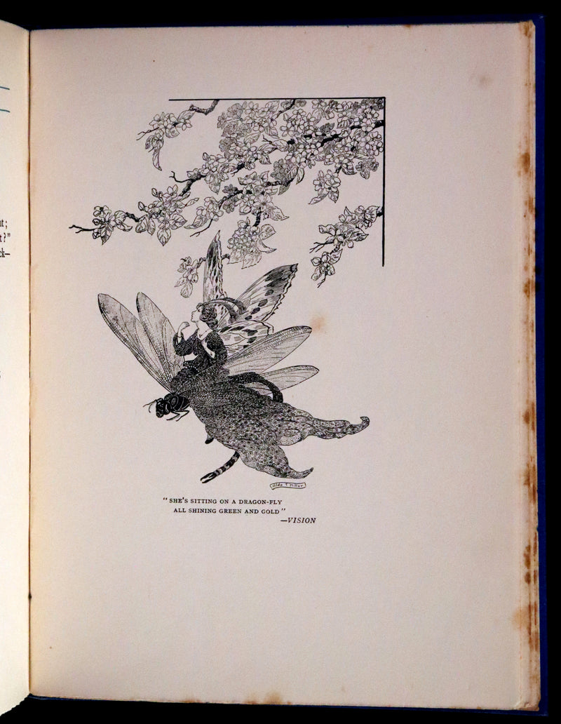 1923 Rare First Edition - The Rose Fyleman Fairy Book Illustrated by Hilda T. Miller.