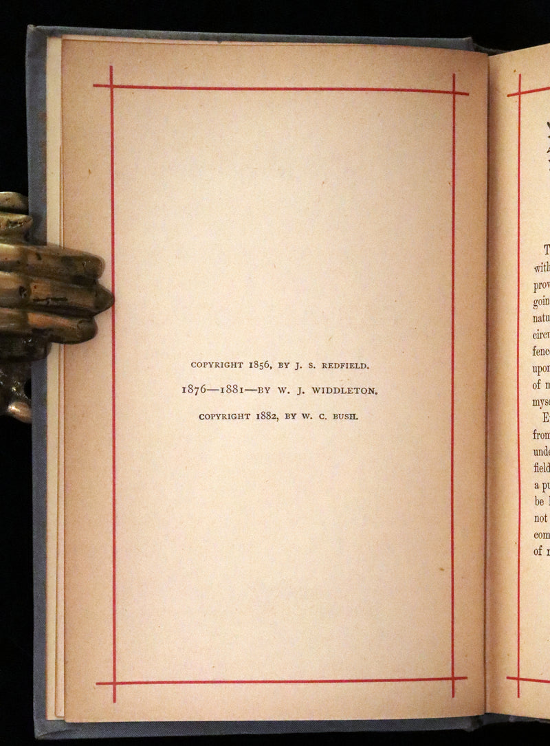1884 Rare Book - Poems by Edgar Allan POE with Memoir (The Raven, Lenore, Fairy-Land, ...)