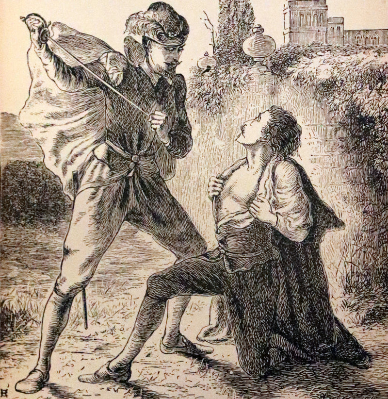 1884 Rare Book - Poems by Edgar Allan POE with Memoir (The Raven, Lenore, Fairy-Land, ...)