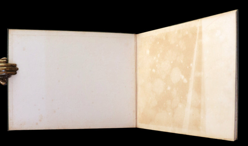 1915 Scarce First English Edition - SPRING FLOWERS by Geertruida Vogel, Illustrated by RIE CRAMER.