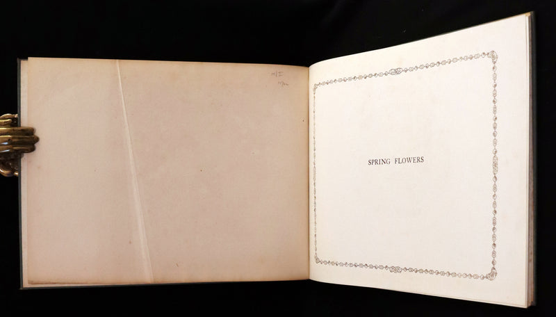 1915 Scarce First English Edition - SPRING FLOWERS by Geertruida Vogel, Illustrated by RIE CRAMER.