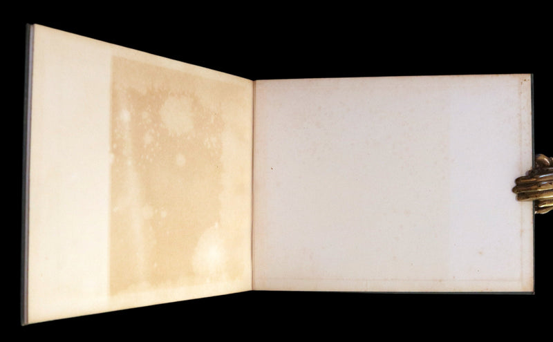 1915 Scarce First English Edition - SPRING FLOWERS by Geertruida Vogel, Illustrated by RIE CRAMER.