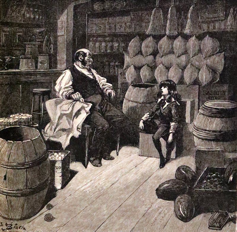 1886 Rare First Edition in a beautiful binding - Little Lord Fauntleroy by Frances Hodgson Burnett. Illustrated.